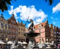 t1.jpg