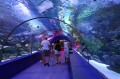 201911071316200.AdobeStock_89941573.jpeg
